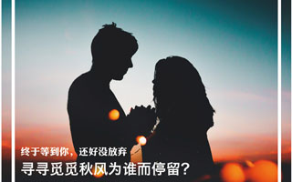 珍爱网报刊设计